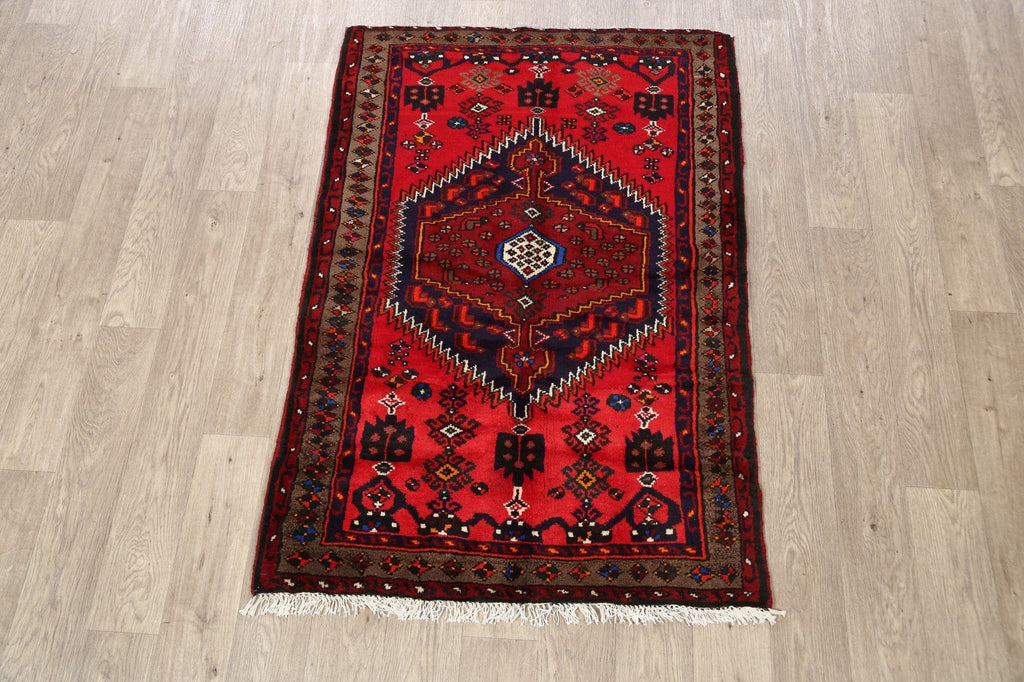 Geometric Hamedan Persian Area Rug 3x5