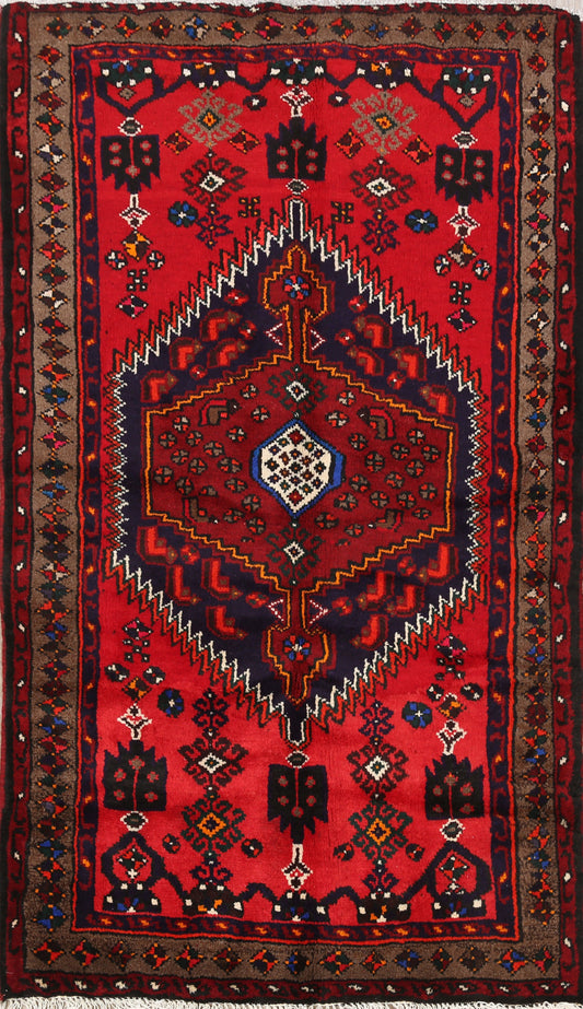 Geometric Hamedan Persian Area Rug 3x5