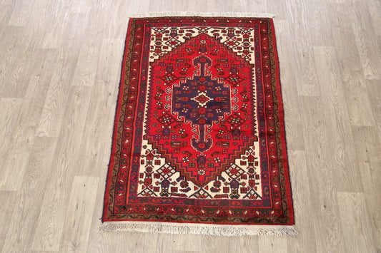 Tribal Hamedan Persian Area Rug 3x5