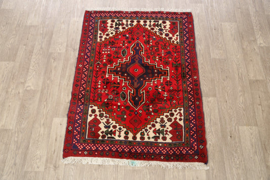 Tribal Hamedan Persian Area Rug 3x5