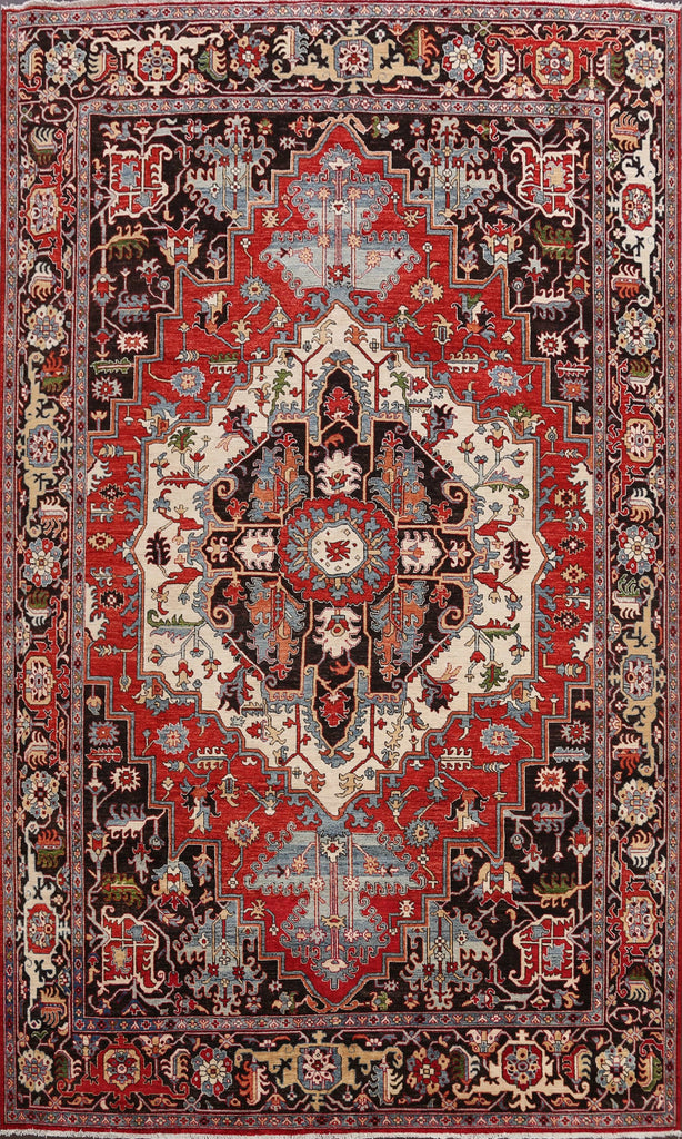 Geometric Heriz Serapi Vegetable Dye Oriental Area Rug 9x11