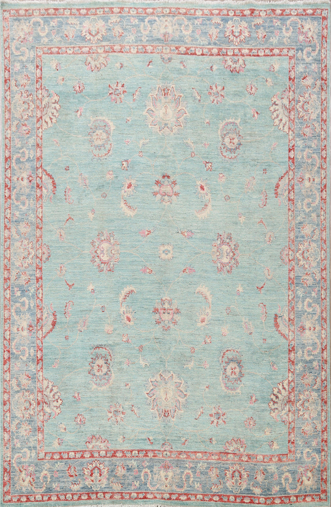 Floral Oushak Oriental Area Rug 8x10