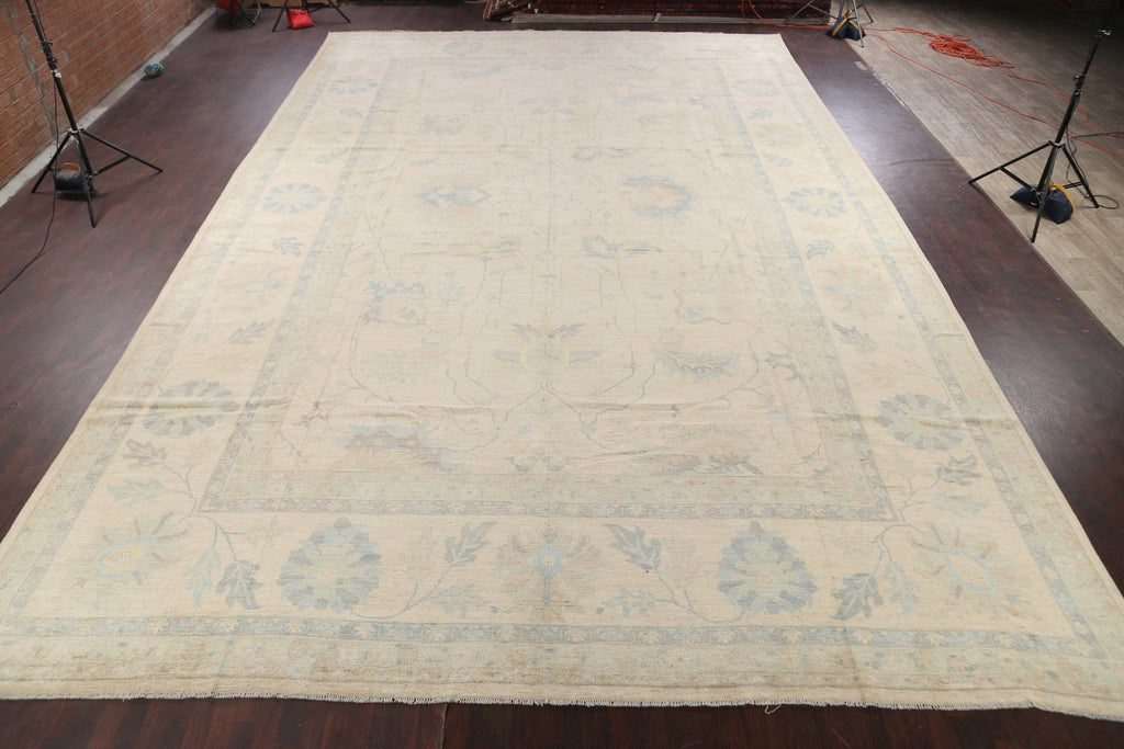 Vegetable Dye Muted Sultanabad Oriental Area Rug 16x26