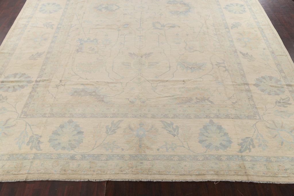 Vegetable Dye Muted Sultanabad Oriental Area Rug 16x26