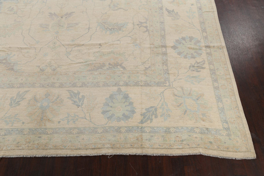 Vegetable Dye Muted Sultanabad Oriental Area Rug 16x26