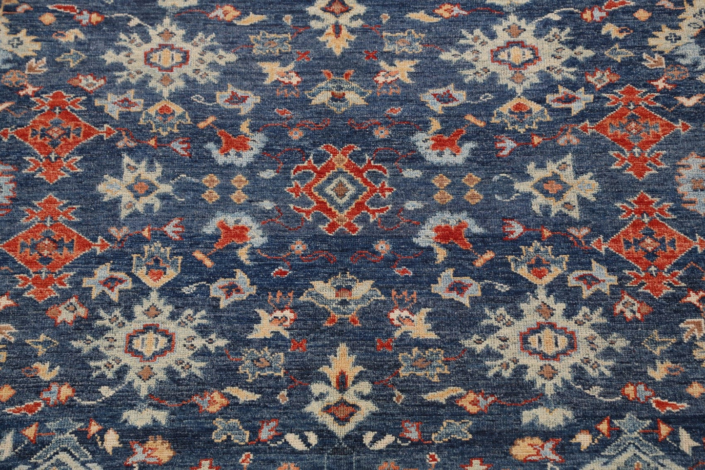 100% Vegetable Dye Khotan Oriental Area Rug 9x10