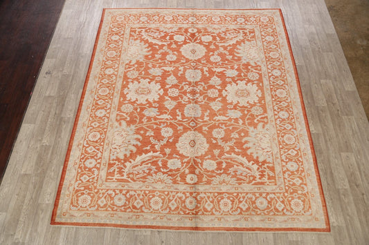 100% Vegetable Dye Khotan Oriental Area Rug 9x10