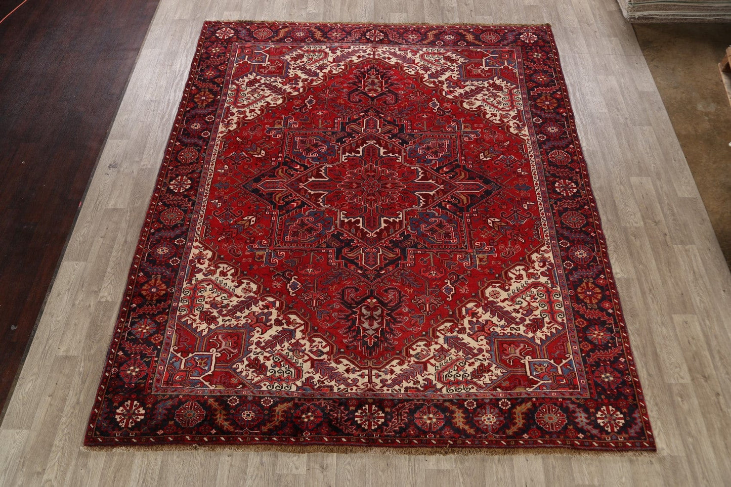 Geometric Red Heriz Persian Area Rug 9x11