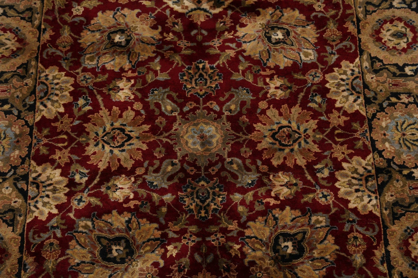 Floral Agra Oriental Area Rug 6x9