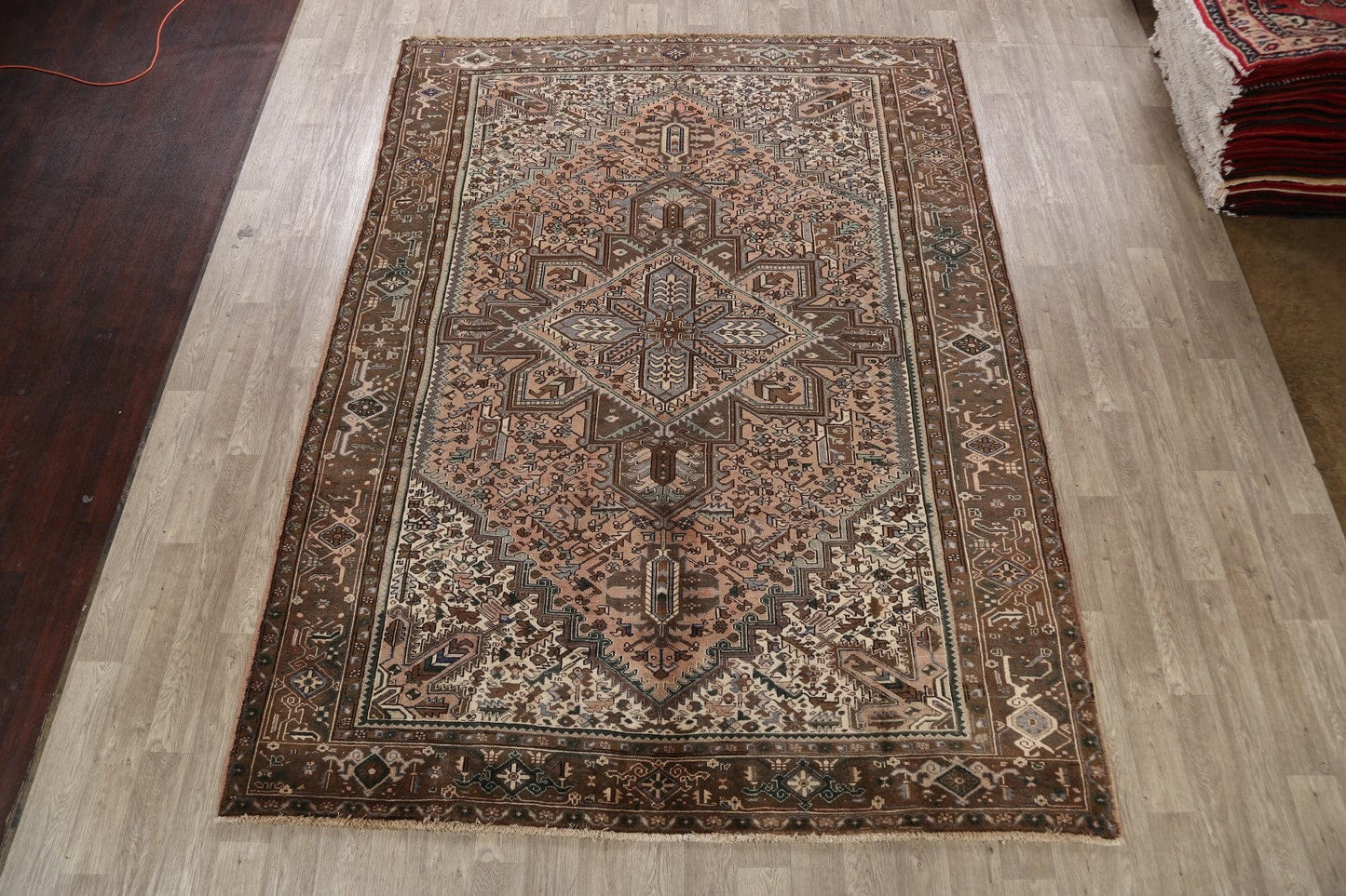 Geometric Heriz Persian Area Rug 8x11