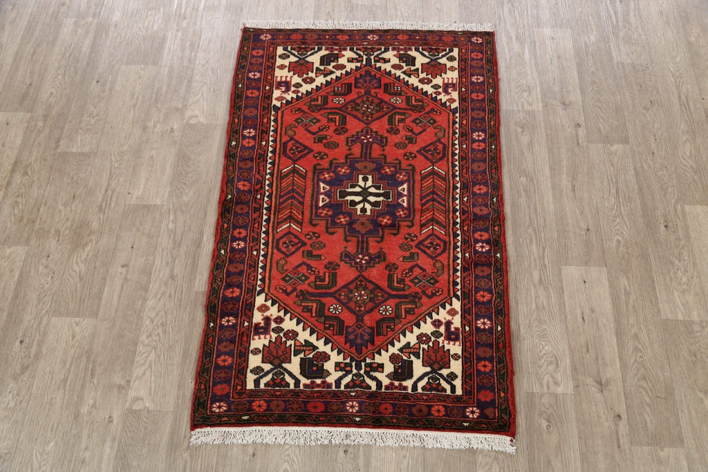 Tribal Geometric Hamedan Persian Area Rug 3x5