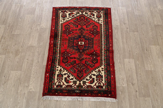 Tribal Hamedan Persian Area Rug 3x5