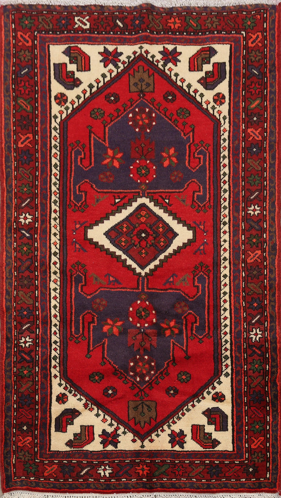 Tribal Hamedan Persian Area Rug 3x5