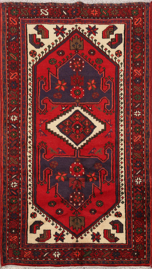 Tribal Hamedan Persian Area Rug 3x5