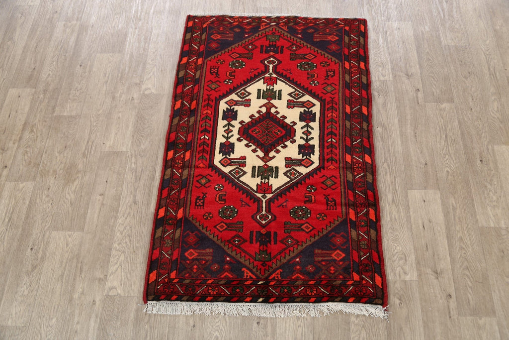 Tribal Geometric Hamedan Persian Area Rug 3x5