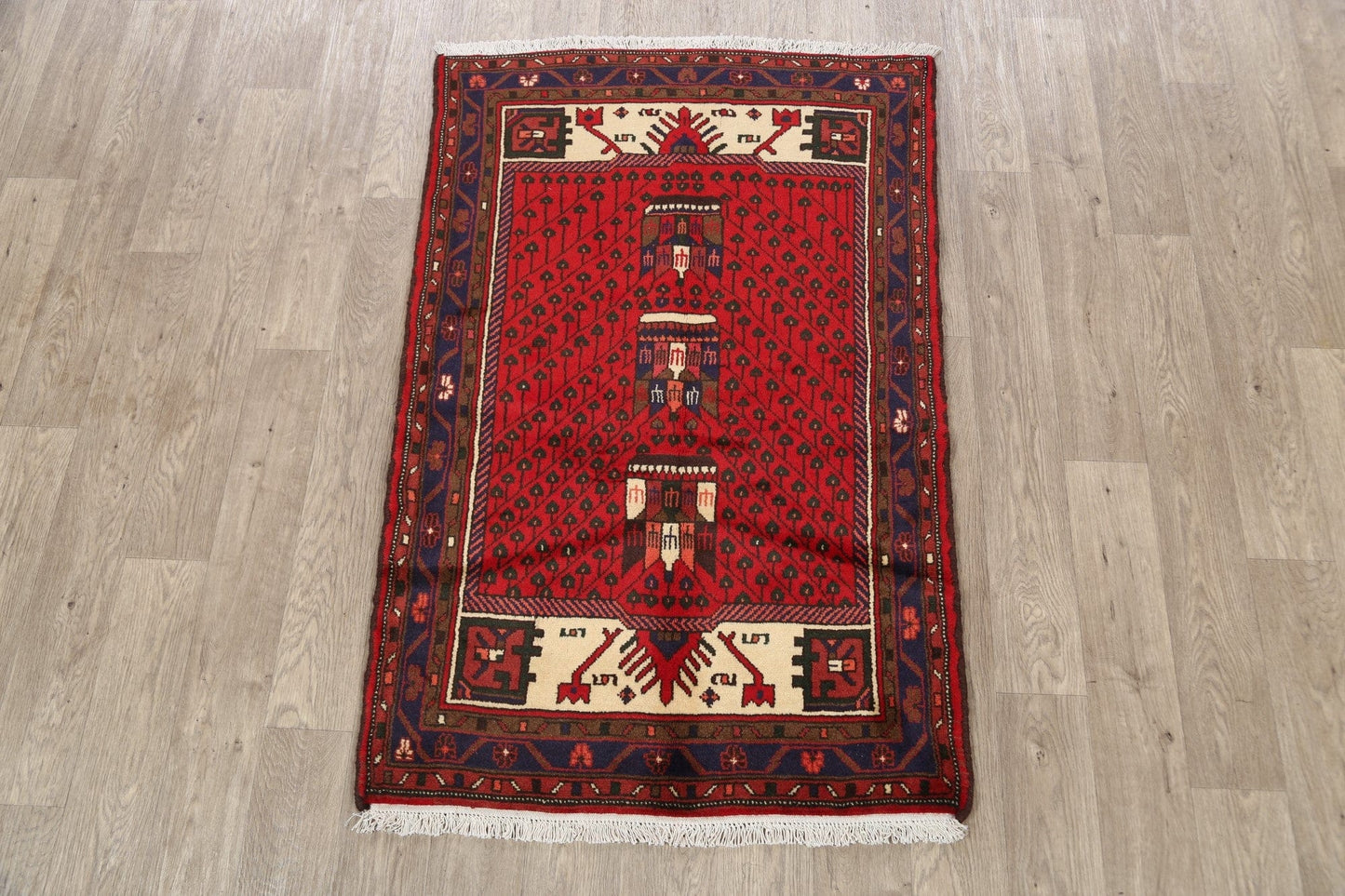 Geometric Hamedan Persian Area Rug 3x5