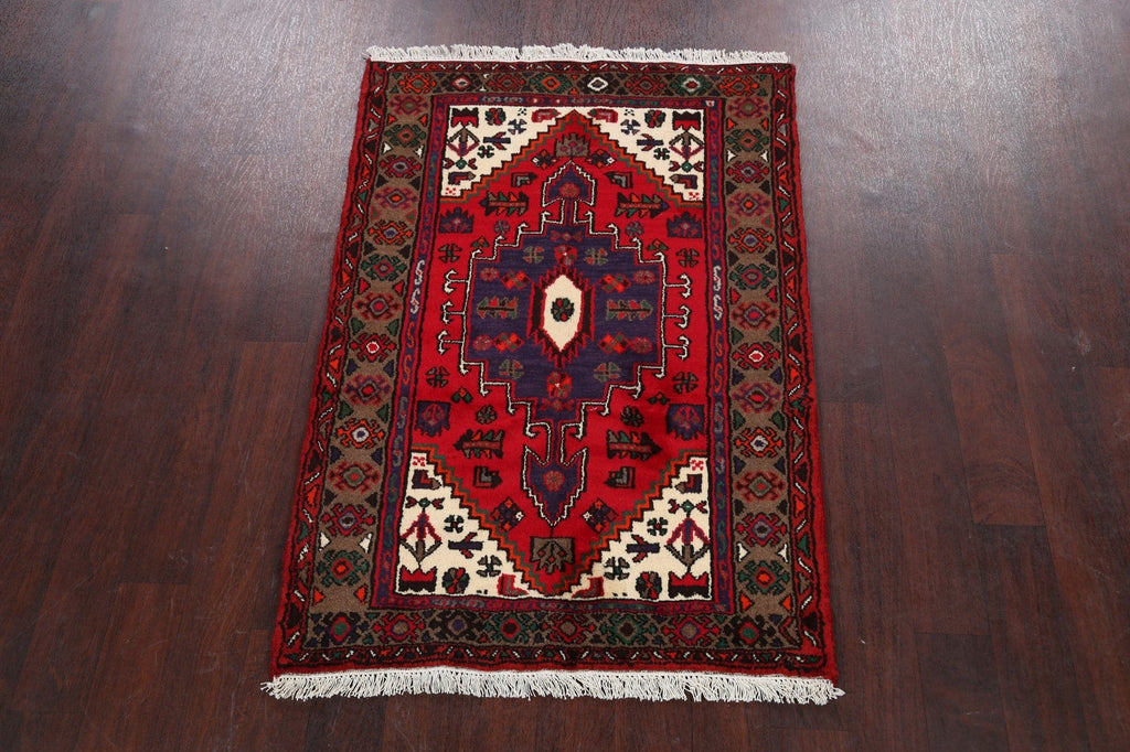 Tribal Hamedan Persian Area Rug 3x5