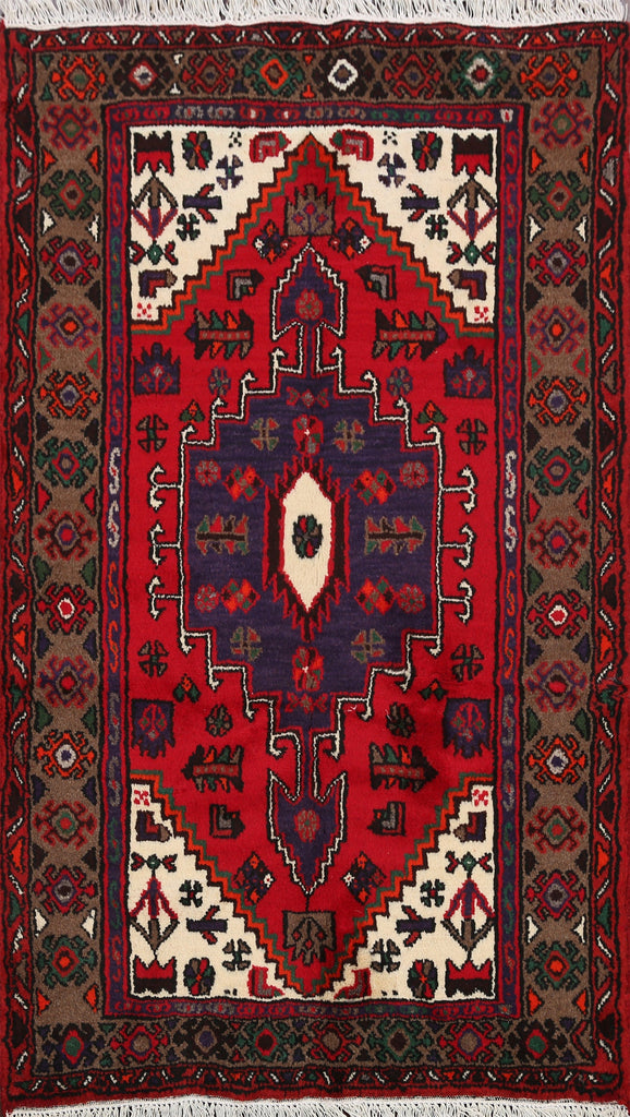 Tribal Hamedan Persian Area Rug 3x5