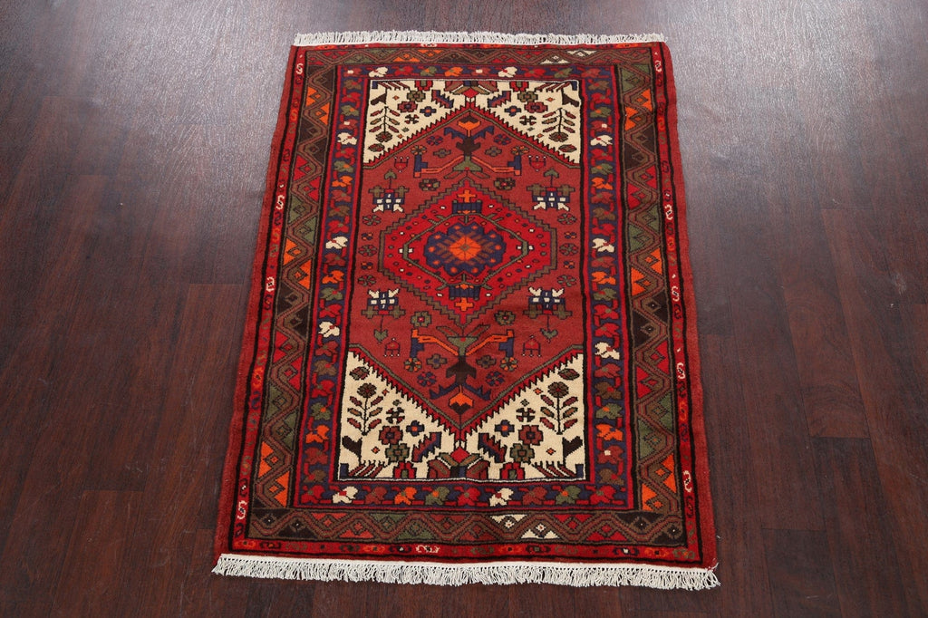 Tribal Hamedan Persian Area Rug 3x5