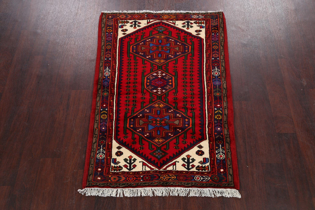 Tribal Hamedan Persian Area Rug 3x5