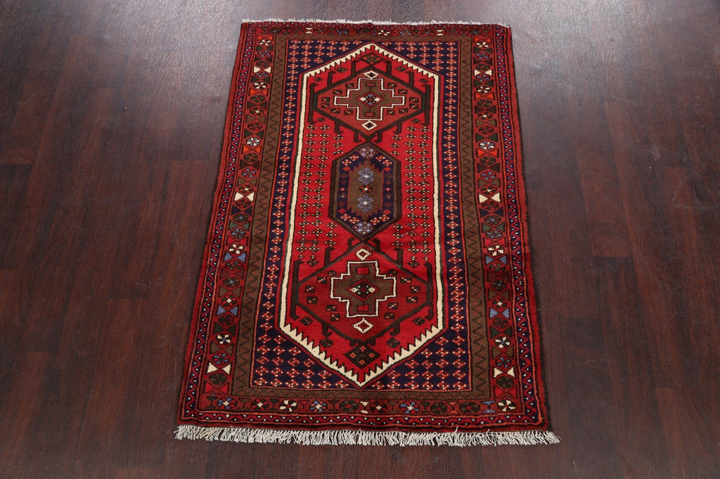 Geometric Hamedan Persian Area Rug 3x5