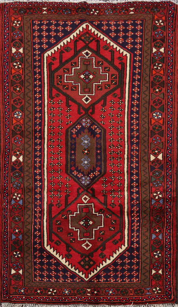 Geometric Hamedan Persian Area Rug 3x5