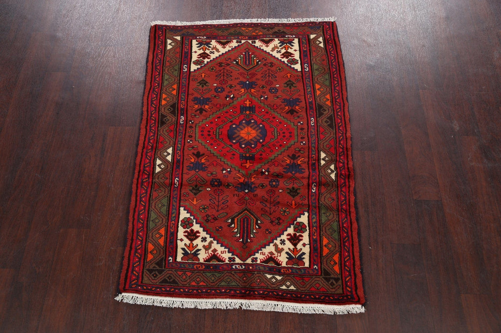 Tribal Hamedan Persian Area Rug 3x5