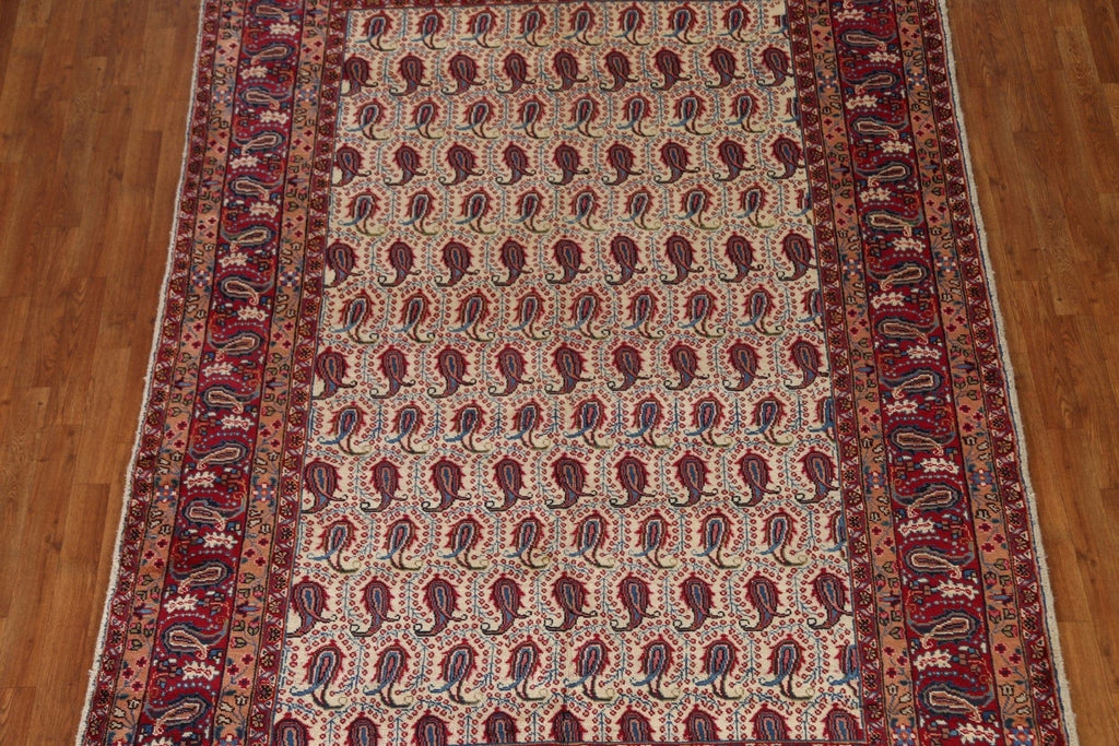 Mood Persian Area Rug 6x9