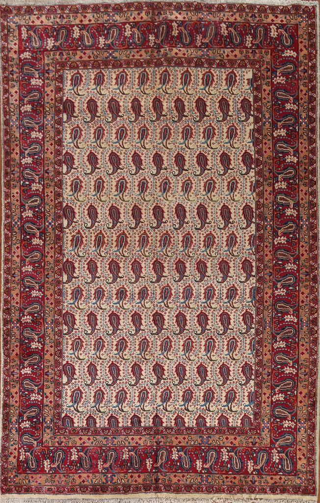 Mood Persian Area Rug 6x9