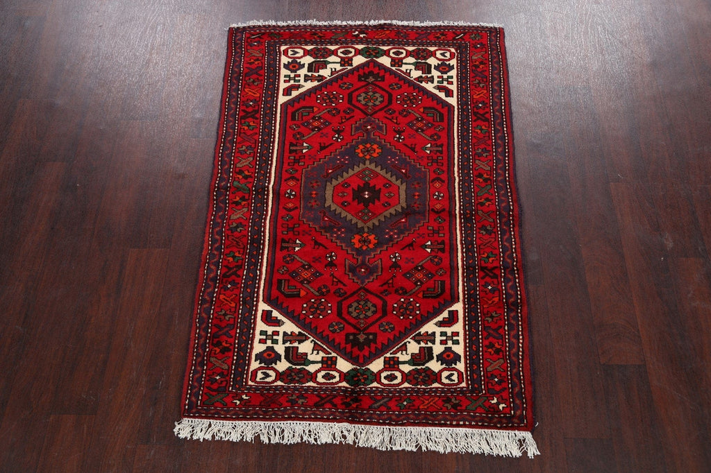 Tribal Hamedan Persian Area Rug 3x5