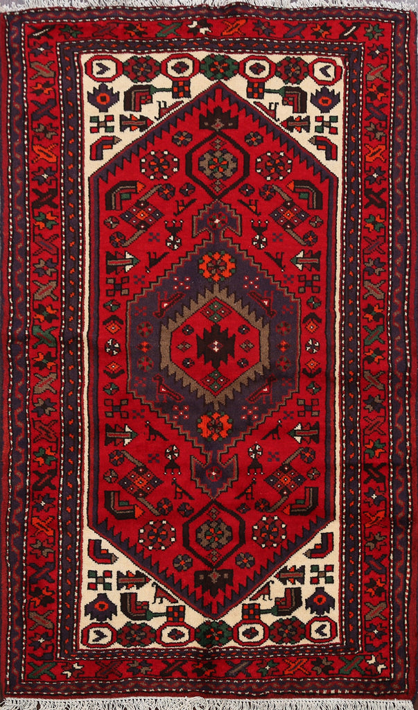 Tribal Hamedan Persian Area Rug 3x5