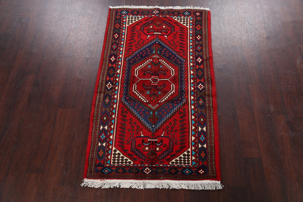 Geometric Hamedan Persian Area Rug 3x5