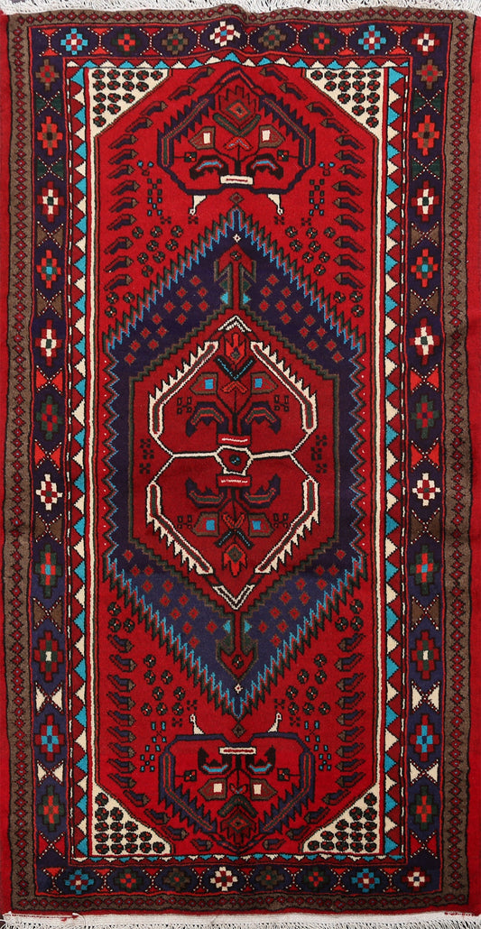 Geometric Hamedan Persian Area Rug 3x5