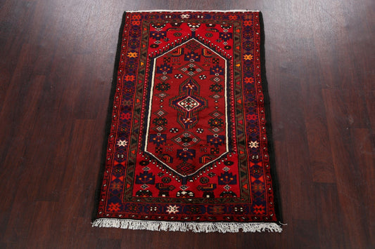 Geometric Hamedan Persian Area Rug 3x5