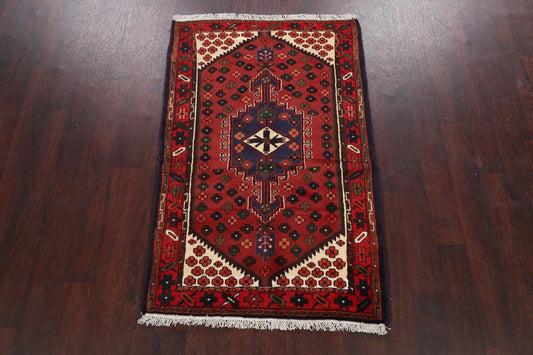 Geometric Hamedan Persian Area Rug 3x5