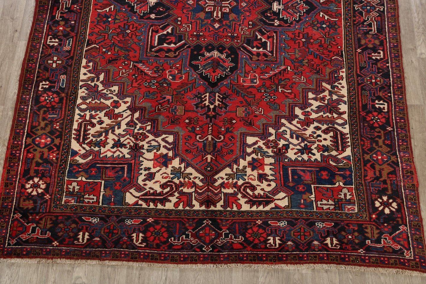 Geometric Heriz Persian Area Rug 8x11