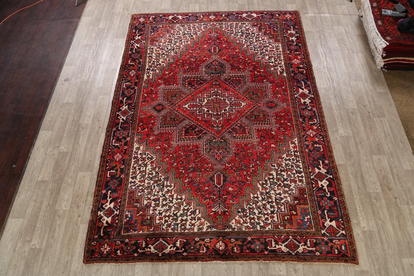 Geometric Heriz Persian Area Rug 8x11