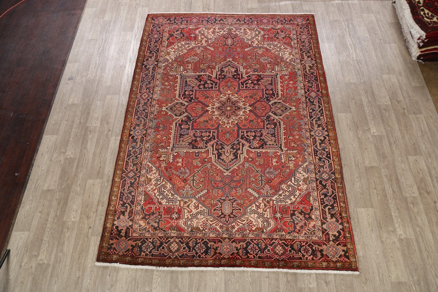 Geometric Heriz Persian Area Rug 7x10