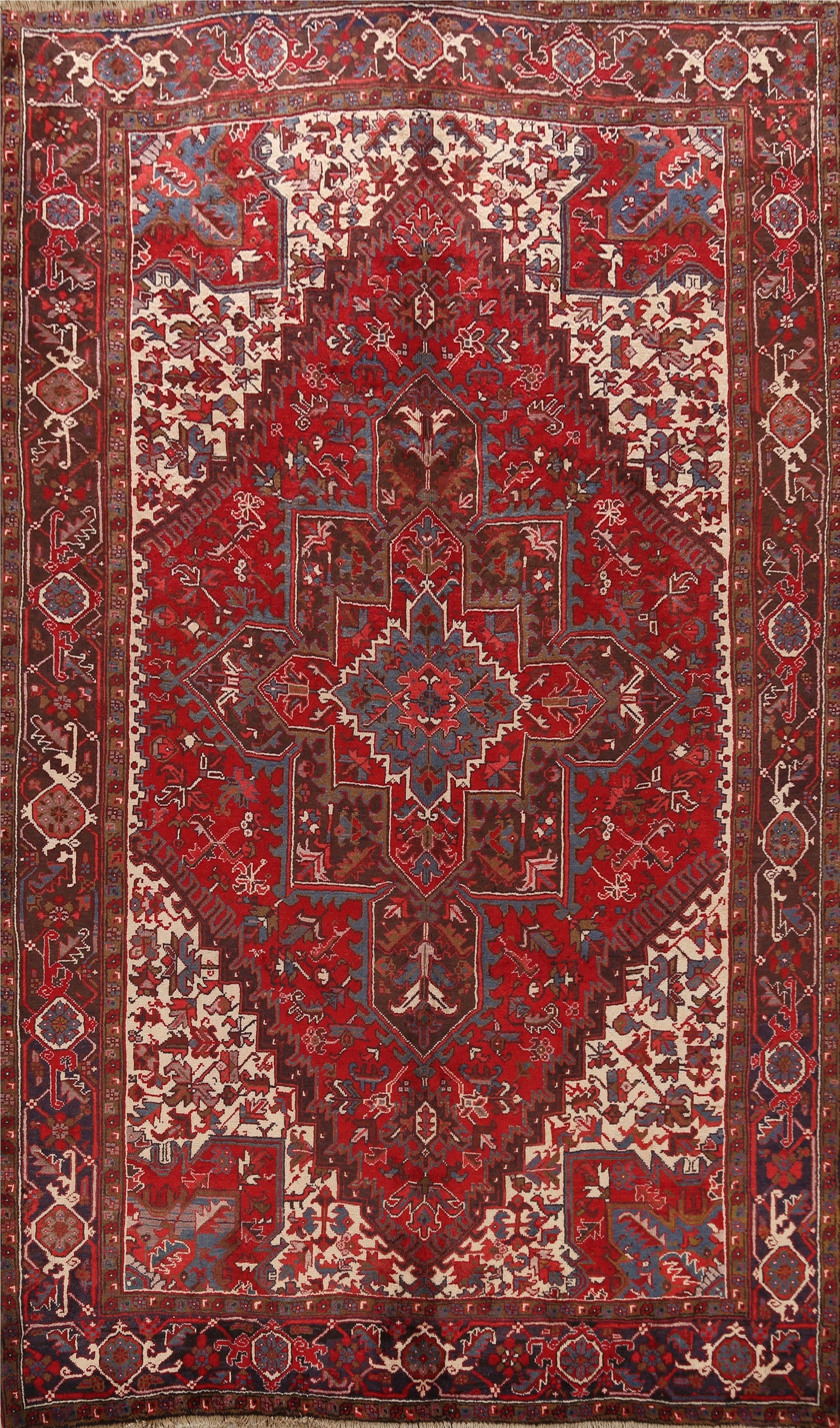 Geometric Heriz Persian Area Rug 8x11