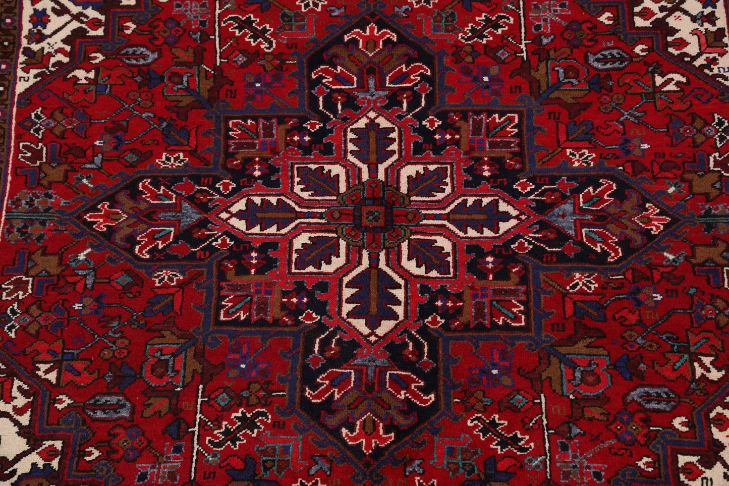 Geometric Heriz Persian Area Rug 7x10