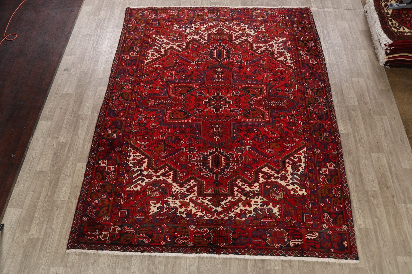 Geometric Heriz Persian Area Rug 9x11