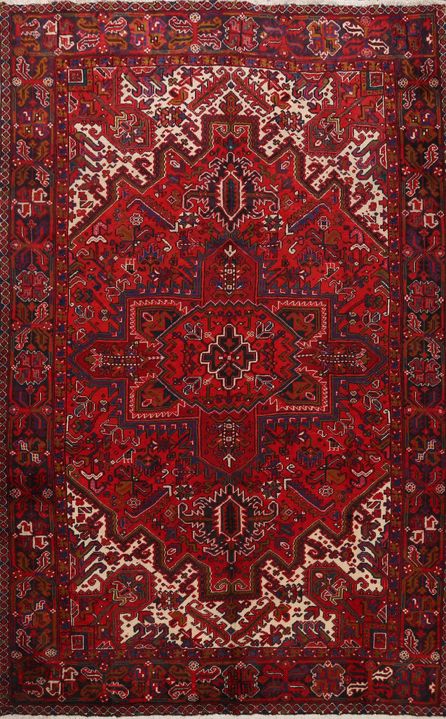 Geometric Heriz Persian Area Rug 9x11