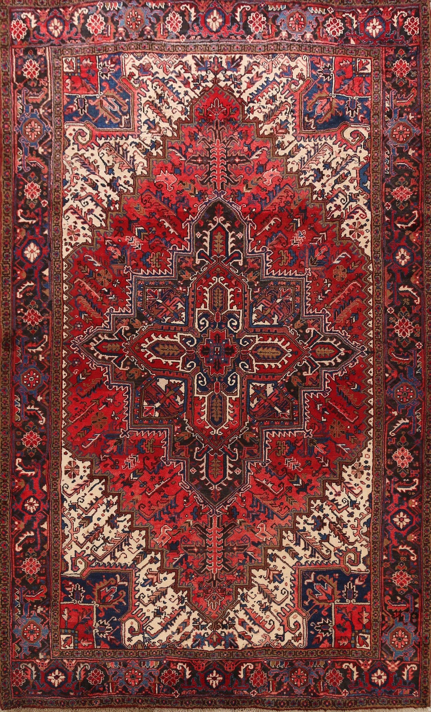 Geometric Heriz Persian Area Rug 8x11