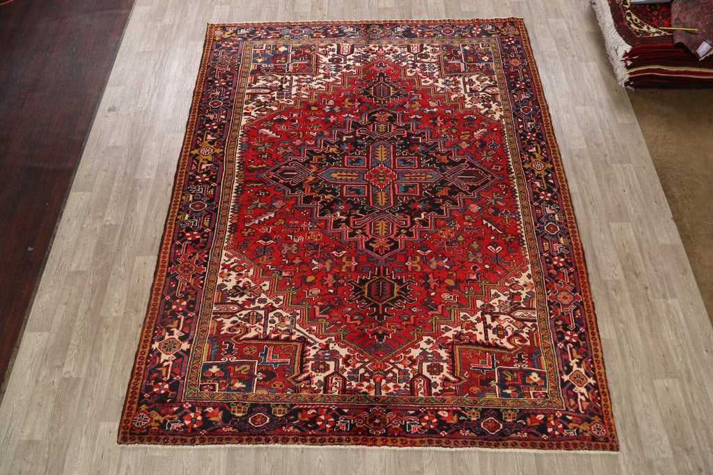 Geometric Heriz Persian Area Rug 9x11