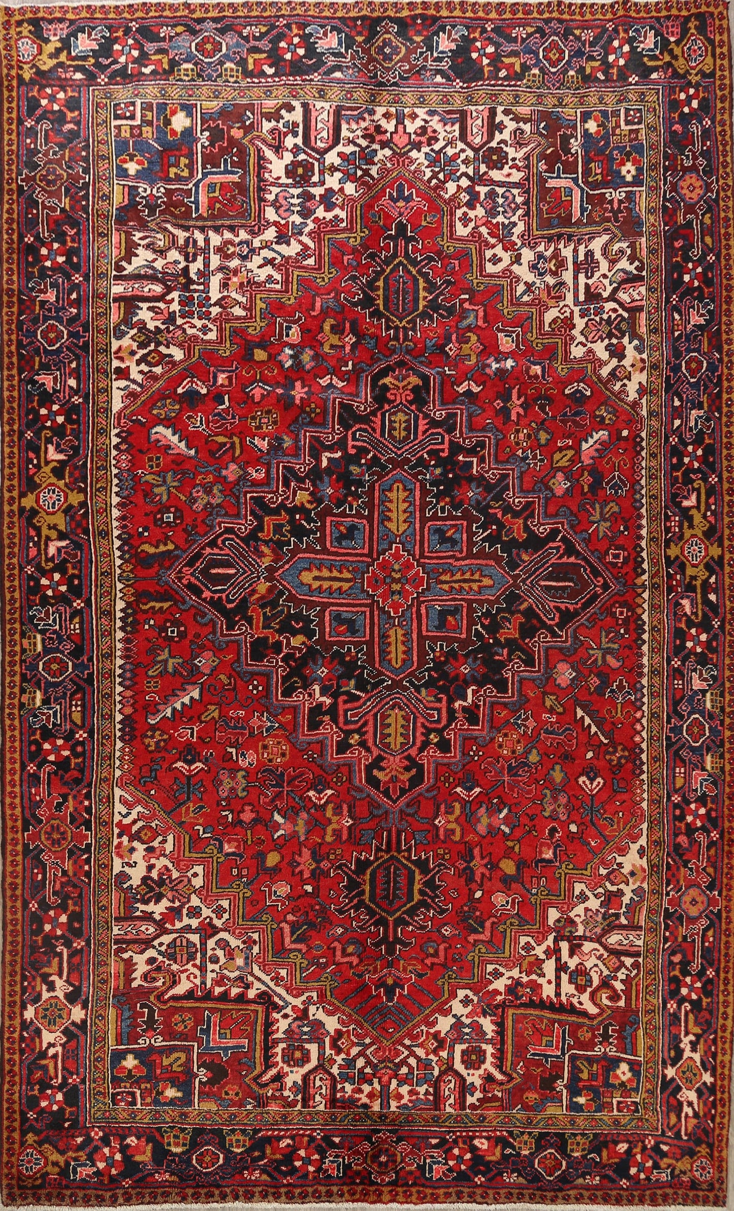 Geometric Heriz Persian Area Rug 9x11