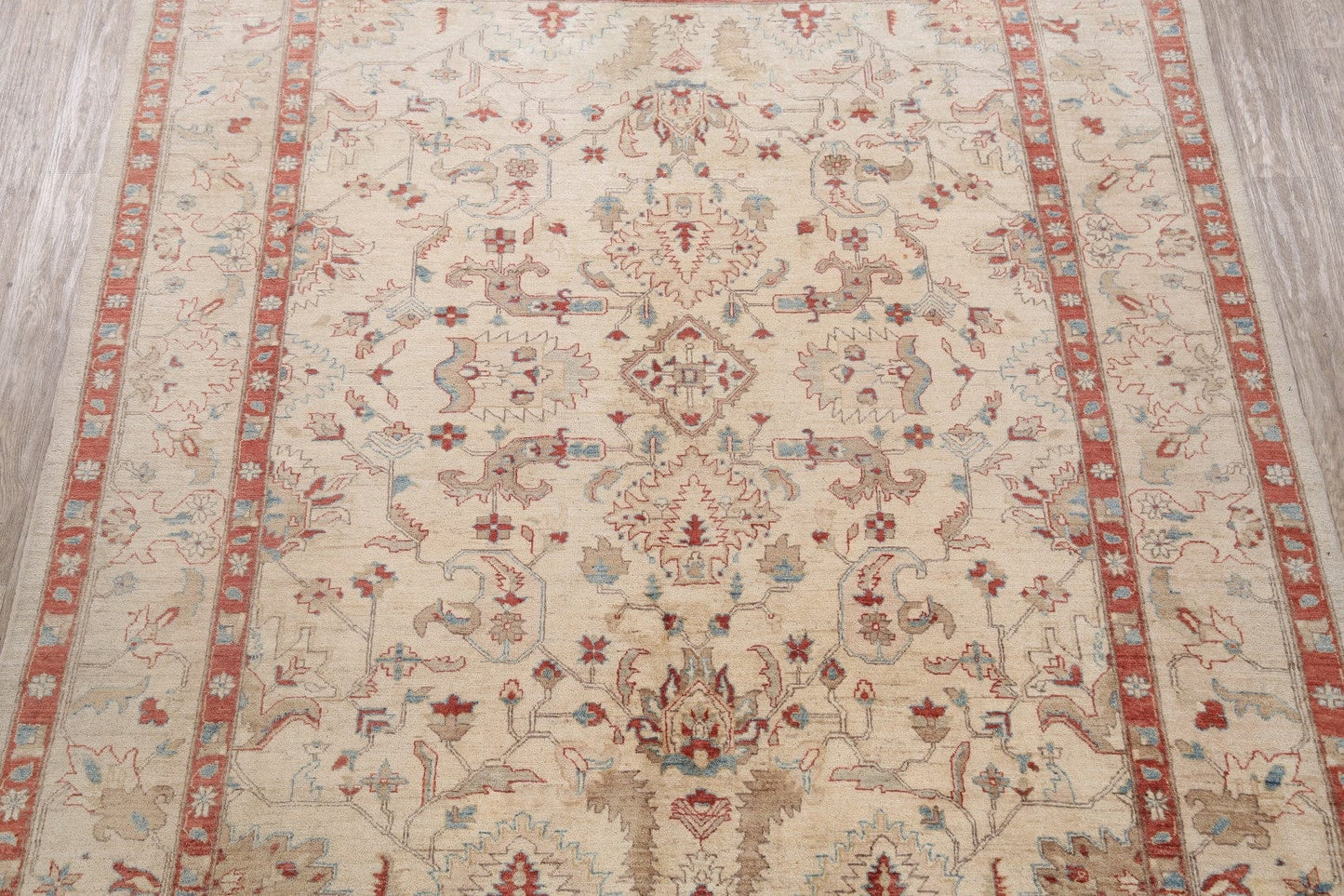 Floral Peshawar Oriental Area Rug 8x9