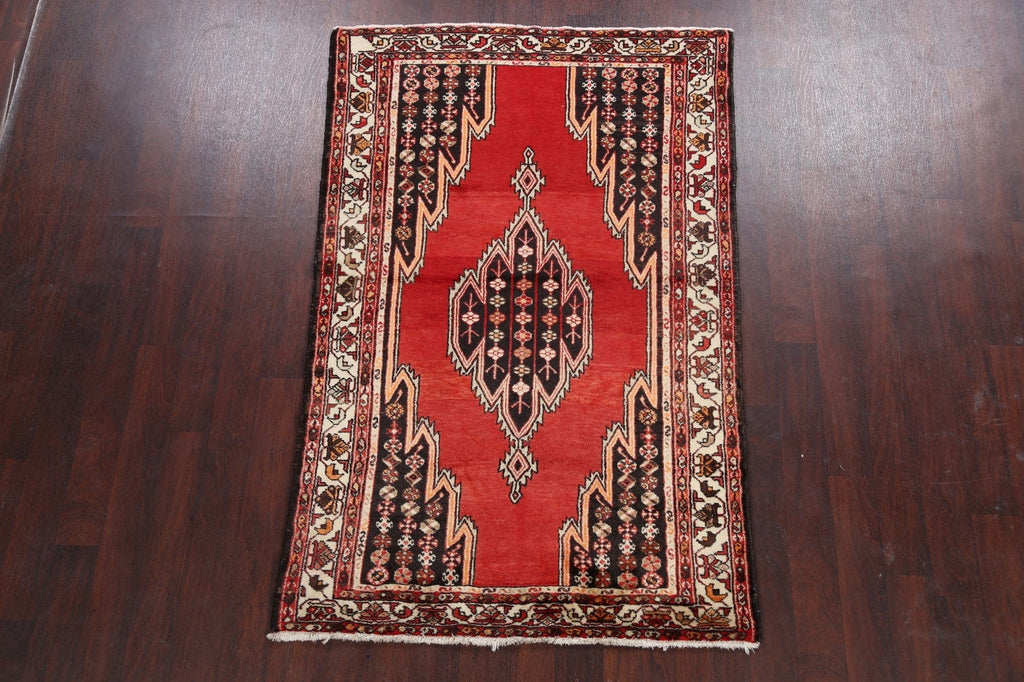 Geometric Hamedan Persian Area Rug 4x7