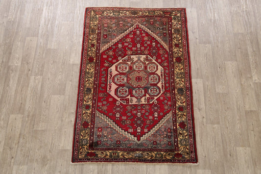 Tribal Hamedan Persian Area Rug 4x6