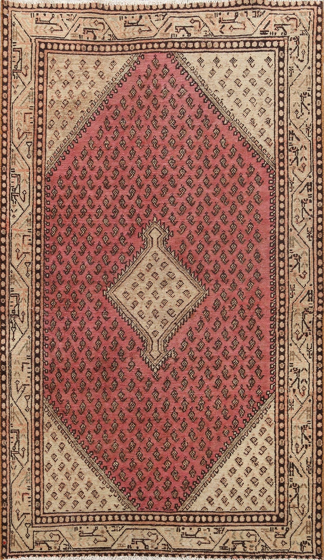 Boteh Botemir Persian Area Rug 4x7