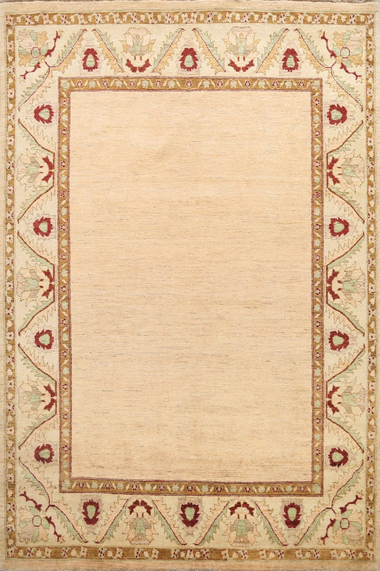 Modern Bordered Gabbeh Kashkoli Oriental Area Rug 8x10